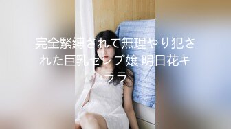 完全緊縛されて無理やり犯された巨乳セレブ嬢 明日花キララ