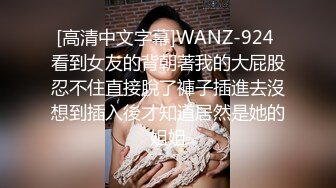 [高清中文字幕]WANZ-924 看到女友的背朝著我的大屁股忍不住直接脫了褲子插進去沒想到插入後才知道居然是她的姐姐