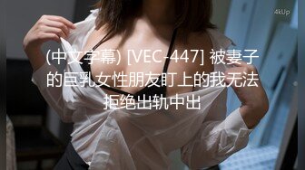 (中文字幕) [VEC-447] 被妻子的巨乳女性朋友盯上的我无法拒绝出轨中出