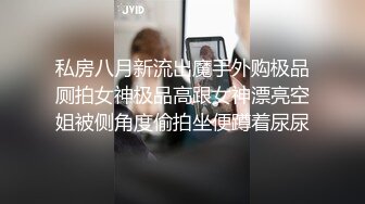 私房八月新流出魔手外购极品厕拍女神极品高跟女神漂亮空姐被侧角度偷拍坐便蹲着尿尿