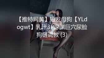 【推特网黄】短发母狗【YLdogwt】乳汁3P深渊巨穴尿脸狗链调教 (3)